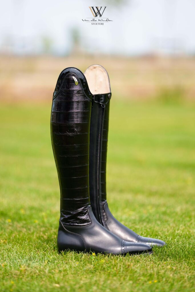 Parlanti Roma dressage EVO " stoeterij van alle Winden"